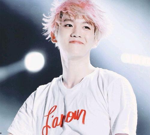 邊伯賢爆料視頻大全最新,揭秘明星幕后生活點滴