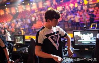 沈月王凱最新爆料,揭秘幕后故事與情感糾葛