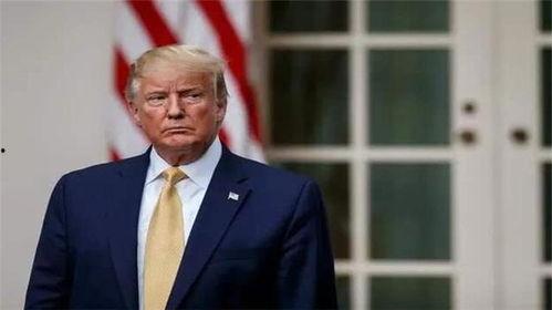 特朗普最新家族爆料圖鑒,揭秘權力背后的家族秘密