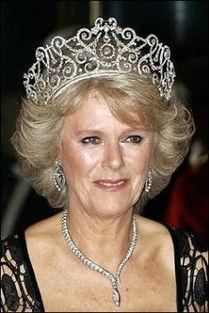 卡米拉最新爆料頭條新聞,揭開(kāi)王室秘辛，震驚公眾眼球！