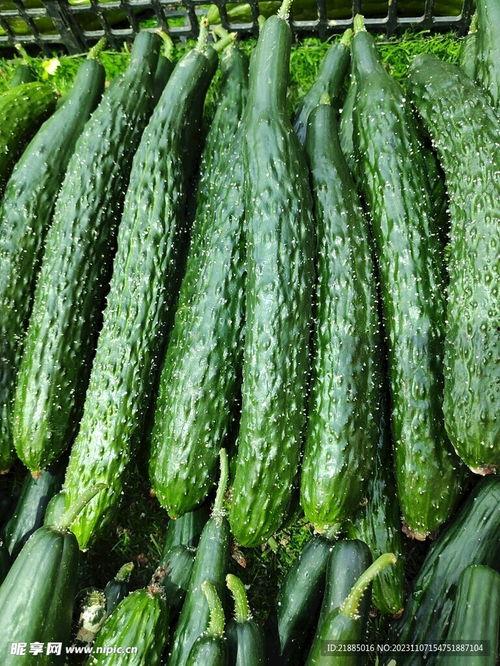 最新黃瓜爆料圖片視頻,高清圖視頻揭秘驚人真相