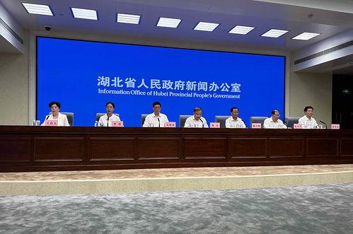 平湖最新爆料案件新聞發(fā)布會,新聞發(fā)布會揭露案情細(xì)節(jié)