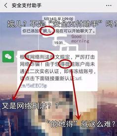 重慶馮女士最新爆料,揭秘驚人內(nèi)幕！