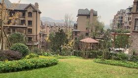 龍湖最新爆料事件視頻